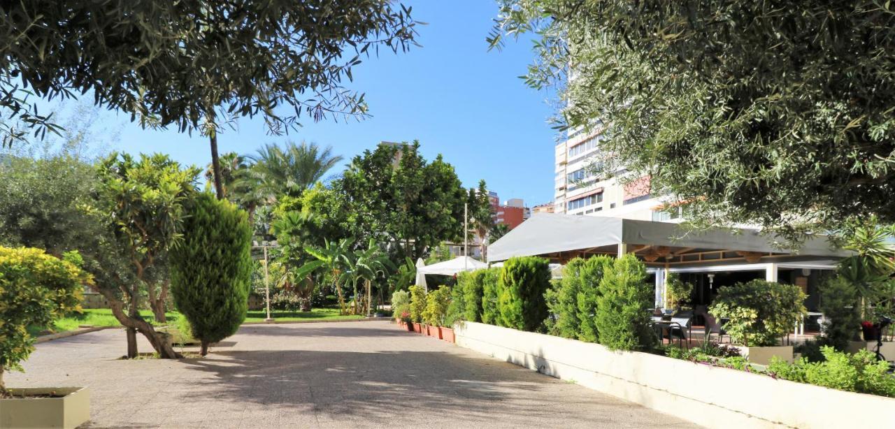 Penthouse Cervantes Sea View Бенидорм Экстерьер фото